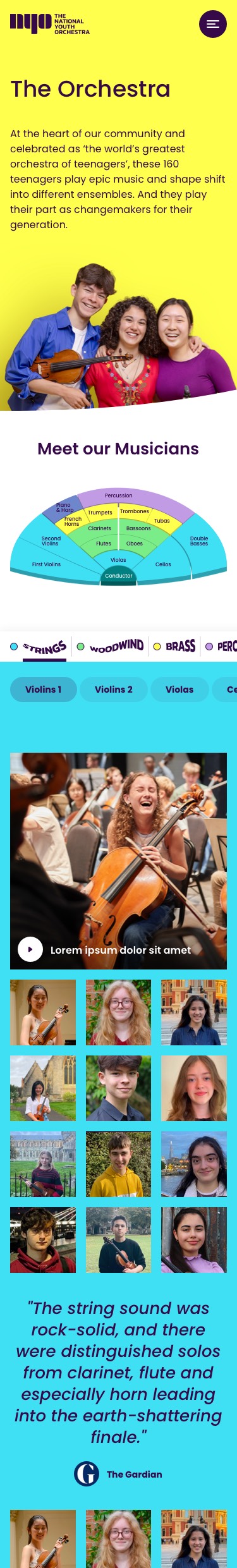 375_The Orchestra_Meet the musicians