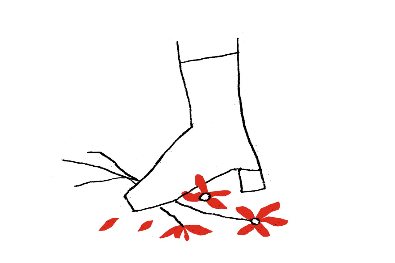 The Loves That Come From Adolescence